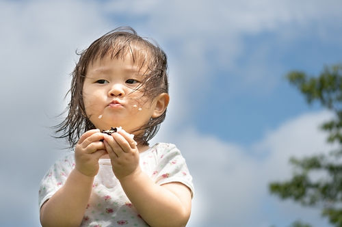 おにぎりを食べる少女