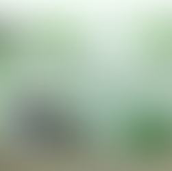 クリーニングサービスのホームページ