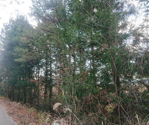 画像5.jpg