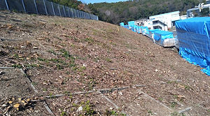 画像27.jpg
