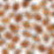 young kids scribble of acorns.jpg