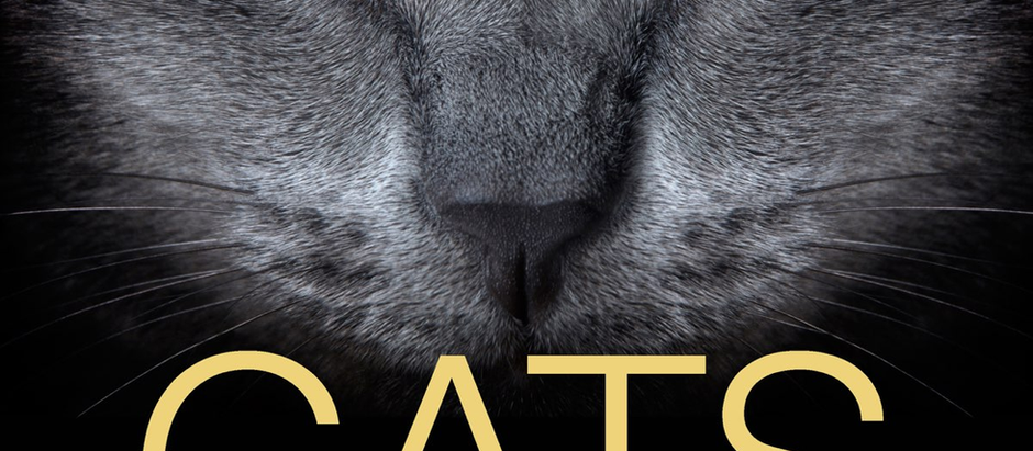 音乐剧《猫》--民主的美学之维