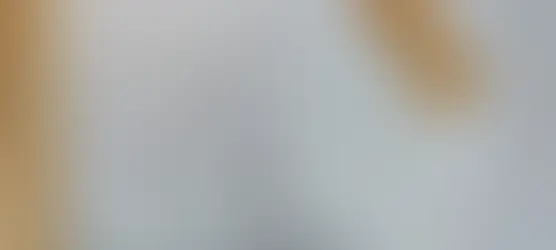 Insect