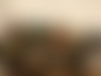 今年最後のご案内