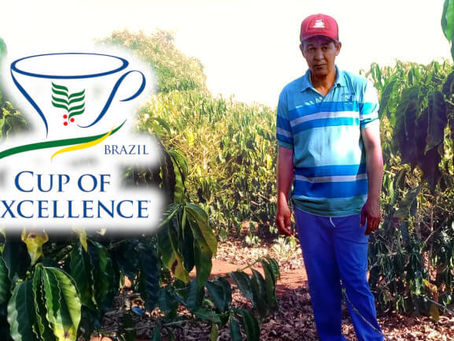 brazil cup of excellence 2018 20位
