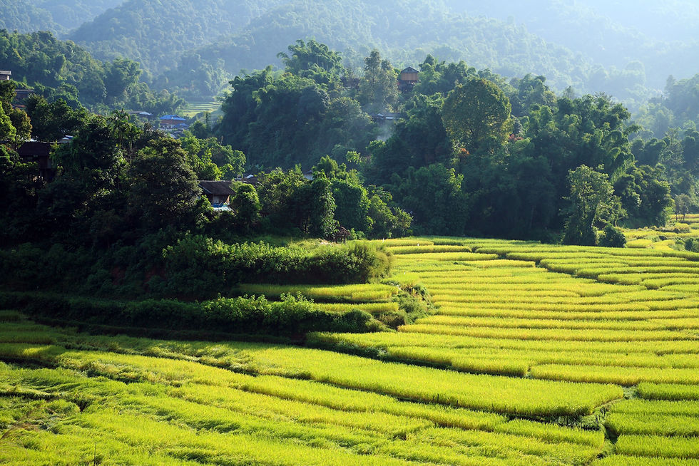 Northern Thailand Road Trip: Chiang Mai to Pai in 5 Days