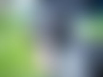 German Shorthaired Pointer - เยอรมัน ช็อตแฮร์ พอยน์เตอร์