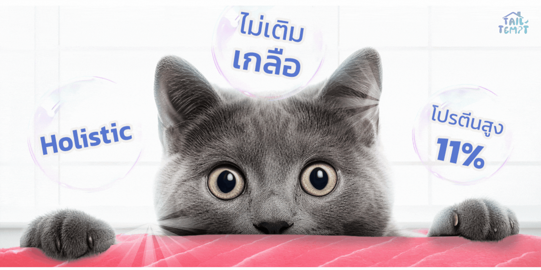TailTempt Petfood