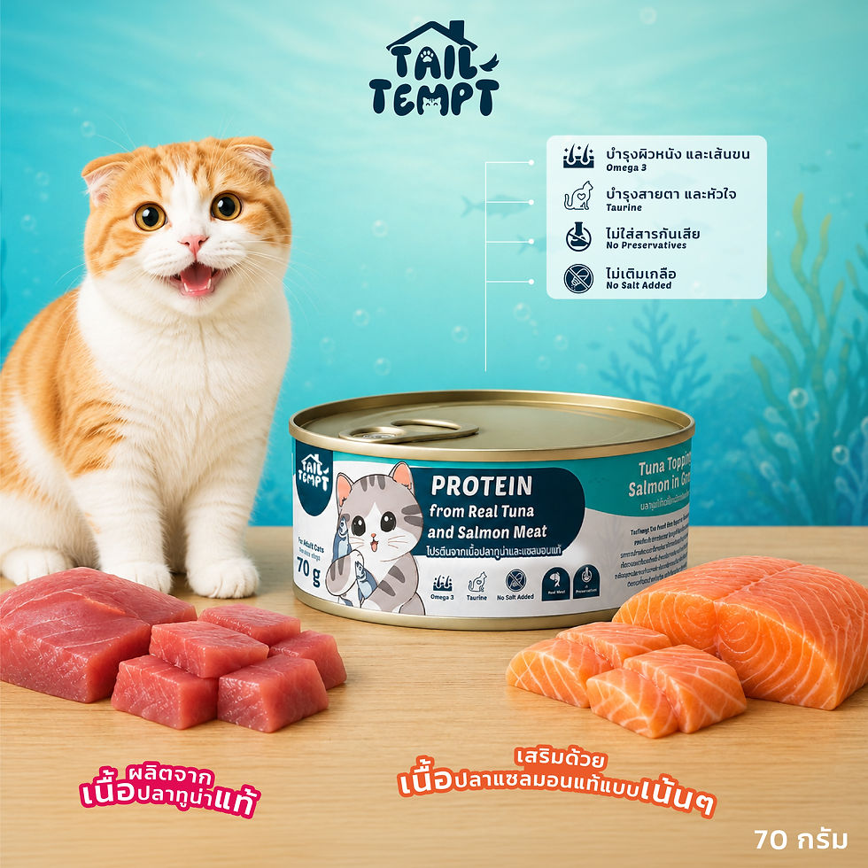 ภาพขนาดย่อ: TailTempt Cat Food - Tuna Topping with Salmon (Premium High Protein) 70 gram