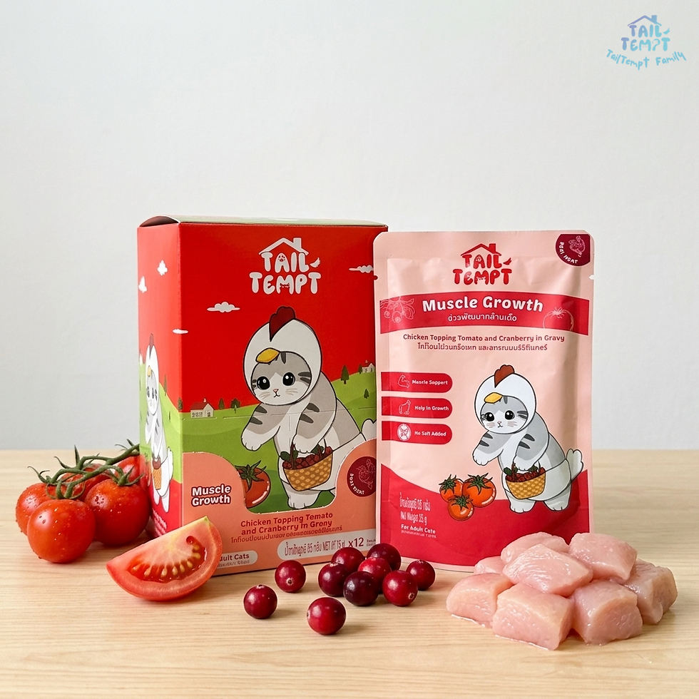 Thumbnail: TailTempt Cat Food - Chicken Meat Topping with Tomato and Cranberry in Gravy x6