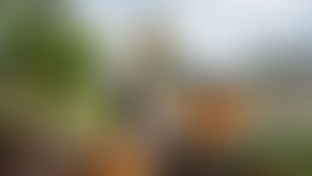 Bee Keeping Training 101