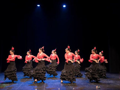 Espectaculo " Un paseo por el Flamenco"