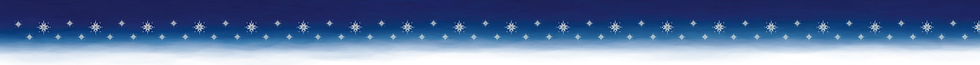 FlowerNightMarketobi.png
