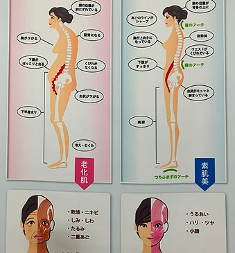 Kohカイロ2