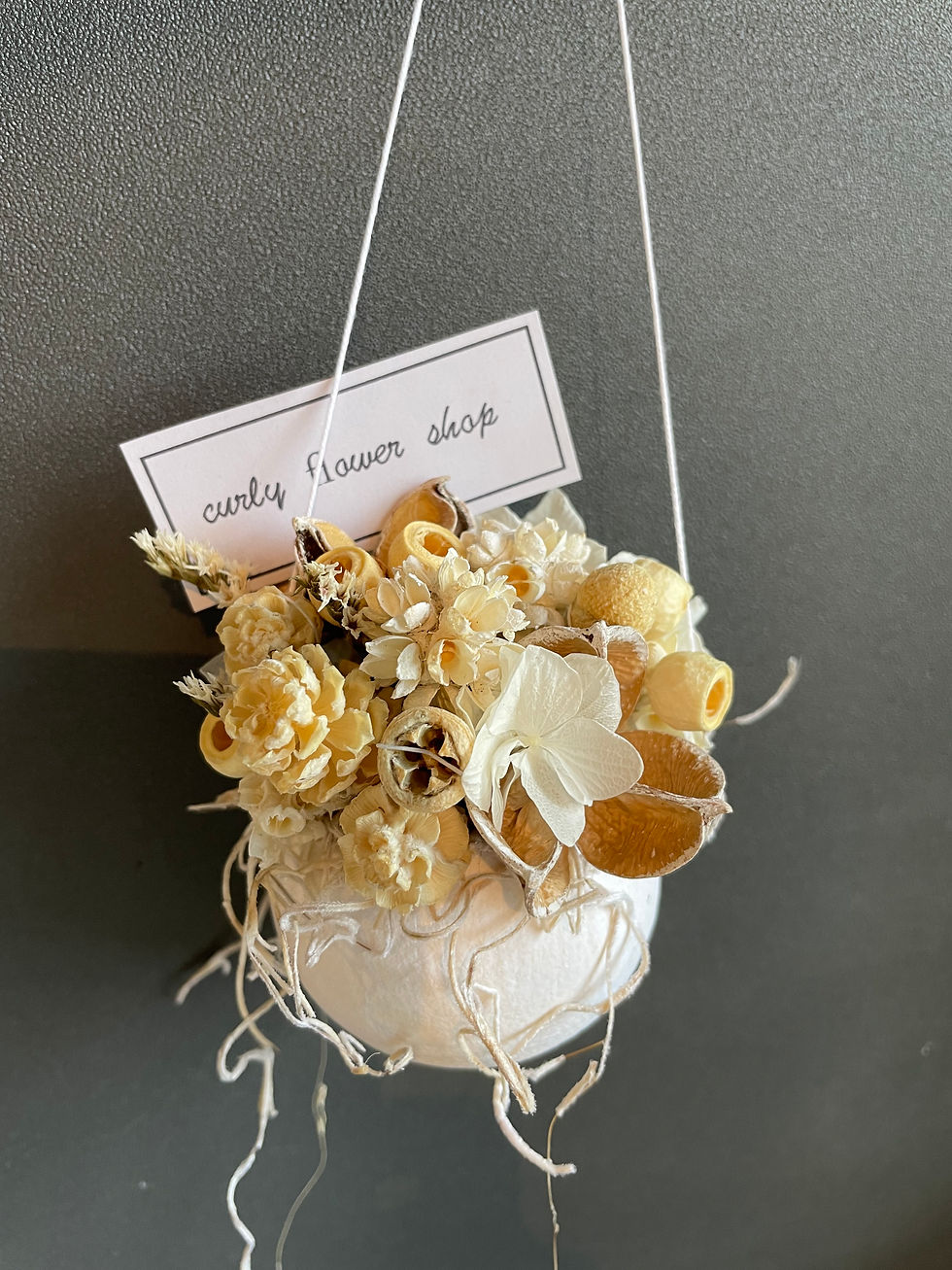 curly  flower shop2