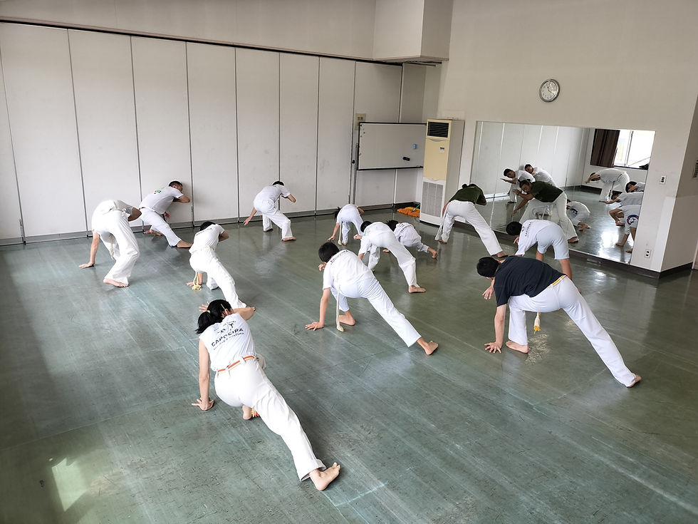 Capoeira Filhos Da Terra2