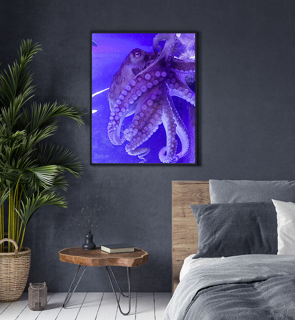 Thumbnail: Octopus