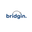 Writer: bridgin.