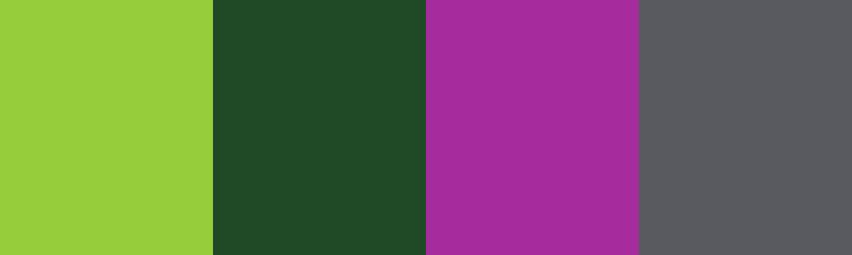 Four-color swatch preview for 365 Cultural Color Palettes #086, Monteverde, Costa Rica: Frog Green, Jungle Dark, Orchid Purple, Cloud Mist.