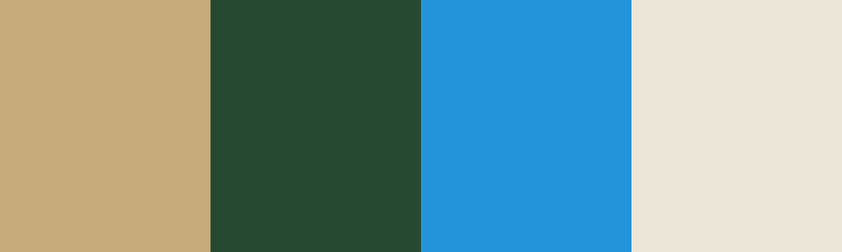 Four-color swatch preview for 365 Cultural Color Palettes #138, Mallorca, Spain: Mallorcan Stone, Pine Green, Island Sky Blue, Rustic Linen.