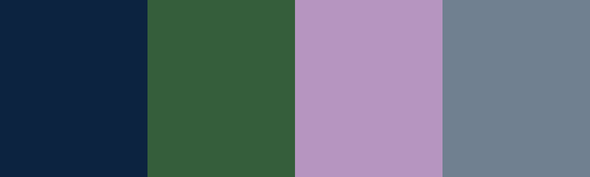 Four-color swatch preview for 365 Cultural Color Palettes #014, Highlands, United Kingdom: Navy Blue, Hunter Green, Heather Purple, Slate Grey.