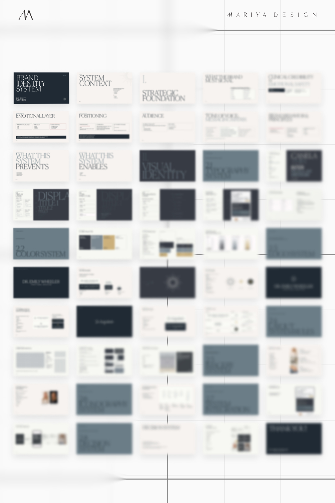 Dr. Emily Wheeler visual application 2