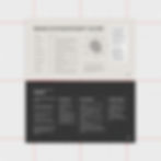 MariyaDesign_StrategicBrandAudit_Black-parrot 2 1x1.jpg