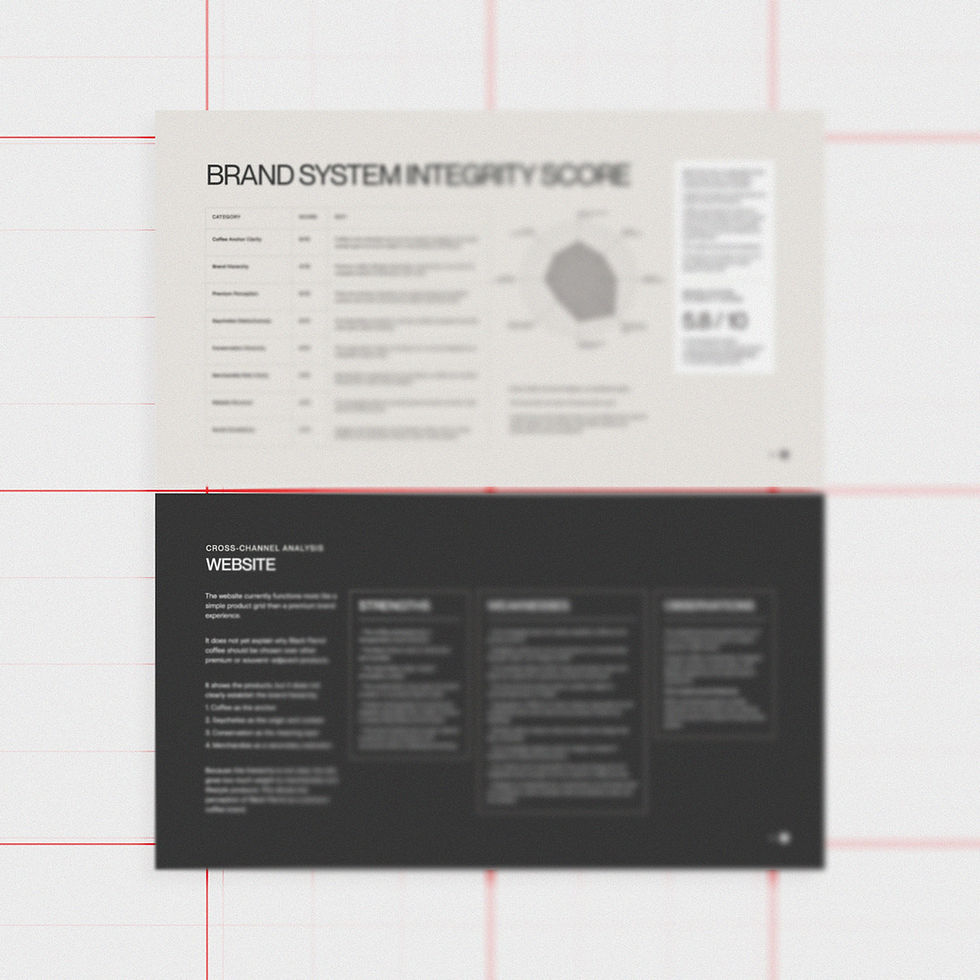 MariyaDesign_StrategicBrandAudit_Black-parrot 2 1x1.jpg