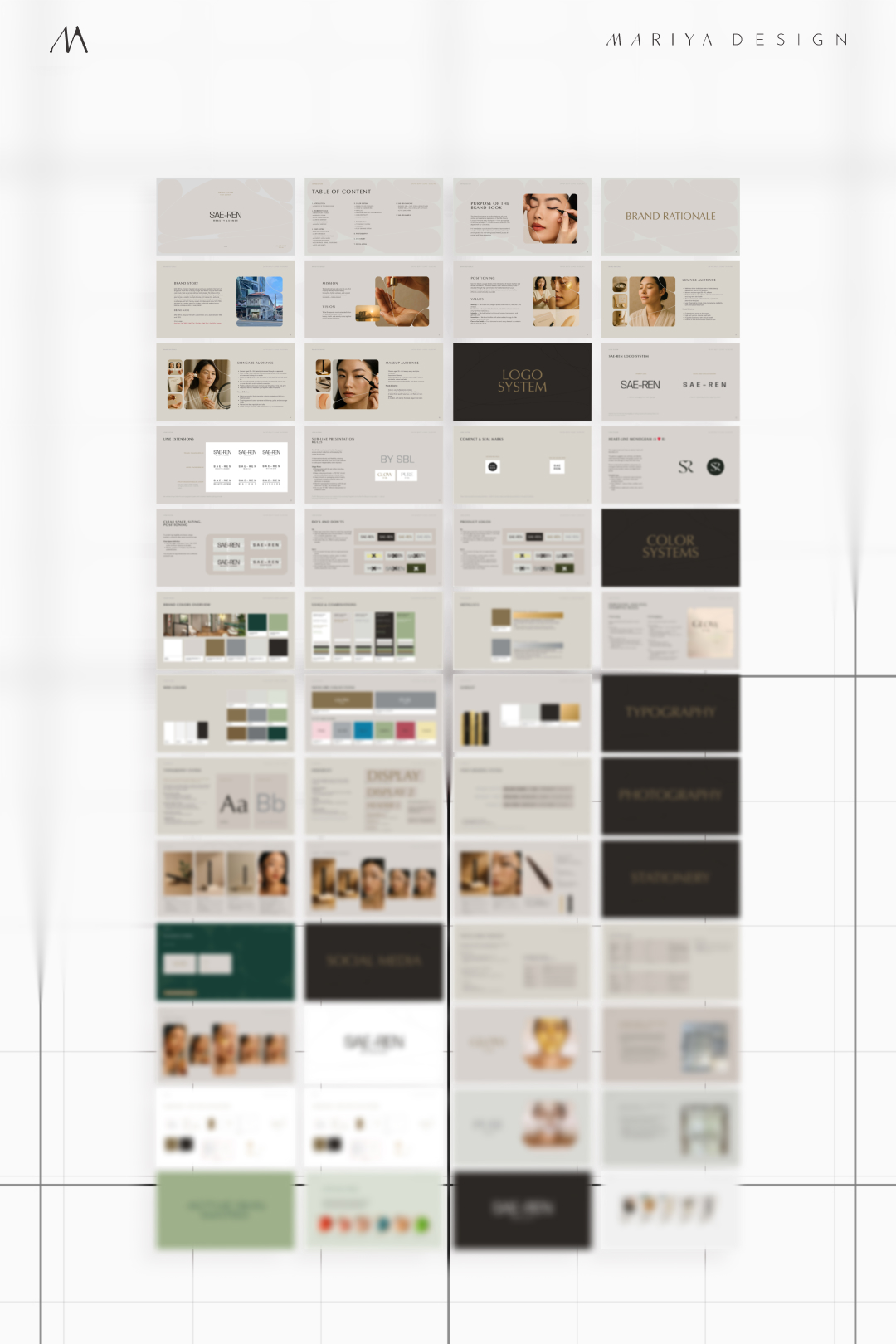 SAE-REN brand guidelines overview showing logo, typography, colors, packaging and digital standards
