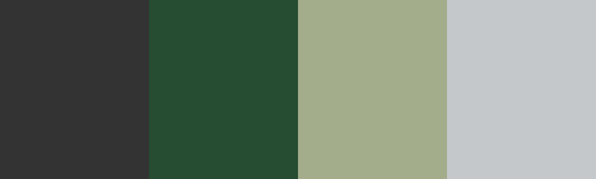 Four-color swatch preview for 365 Cultural Color Palettes #107, Volcanoes National Park, Rwanda: Silverback Grey, Fern Green, Bamboo Stalk, Mist White.