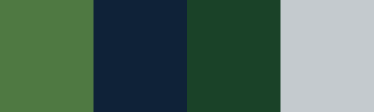 Four-color swatch preview for 365 Cultural Color Palettes #035, Milford, New Zealand: Fern Green, Deep Fjord, Pounamu Jade, Silver Mist.