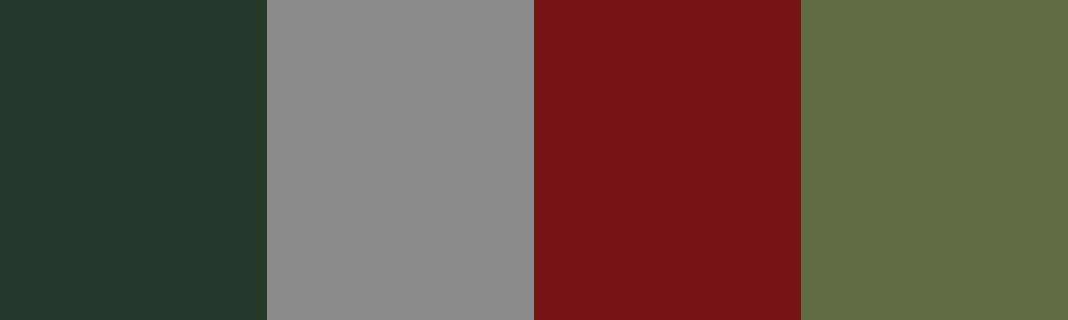 Four-color swatch preview for 365 Cultural Color Palettes #075, Transylvania, Romania: Misty Forest, Castle Stone, Velvet Crimson, Old Moss.