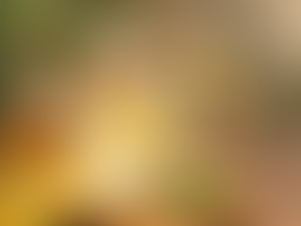 Le citron : eau citron & miel 