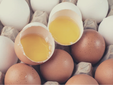 Les oeufs | Clé santé
