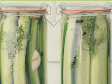 Le vinaigre... je ne suis pas un pickle ! | La clé santé