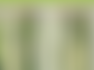 Le vinaigre... je ne suis pas un pickle ! | La clé santé