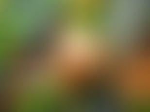 Dossier thyroïde | Quoi faire pour rétablir la thyroïde (partie 2)