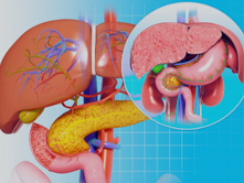 Le foie protège mon pancréas | Extrait du livre La magie des fruits