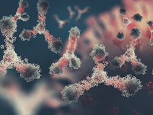 8 catégories de virus