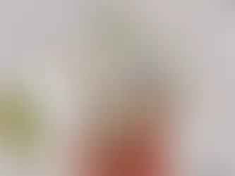 Seychelles Visa Requirements: Your Gateway to Tropical Paradise.