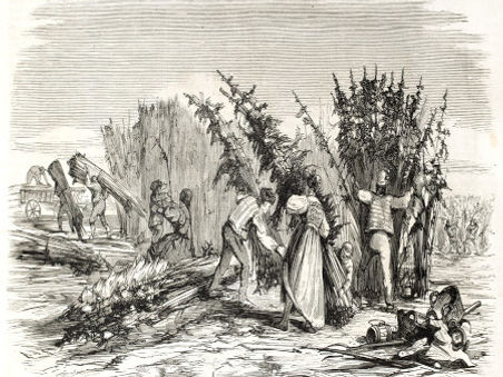 Hanf historisch 450.jpg