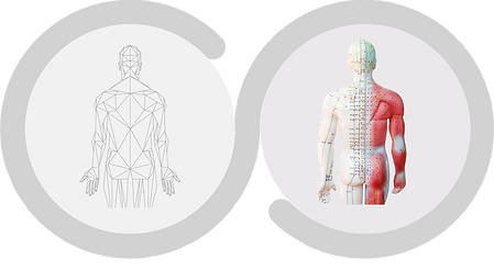 Spine Care analytik Massage.png