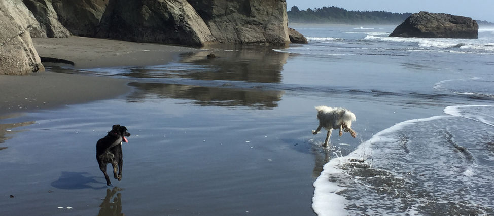 Moonstone Beach, Northern California, USA