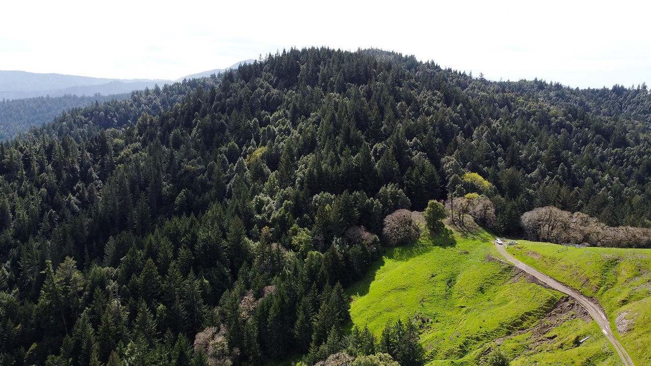 Property for sale near Petrolia, CA, in Humboldt County near the beach
