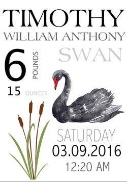 Birth Announcement swan theme