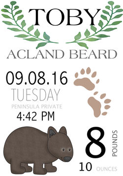 Birth Announcement Wombat theme