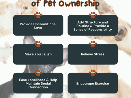 Pets Promote Good Mental Health