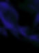 yuvalna_Create_an_abstract_image_that_features_colorful_fluid_g_055da2ee-13c1-4411-9ce8-29