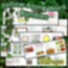 Plant Lesson Slideshows PowerPoint