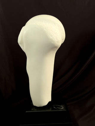 Humerus-7